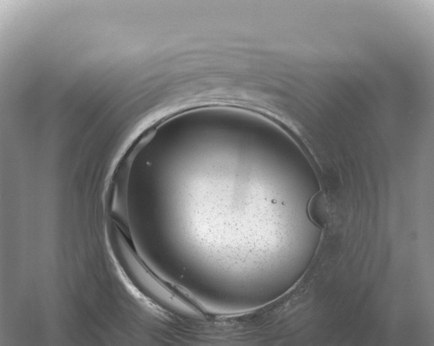 X0000054391515200508051634