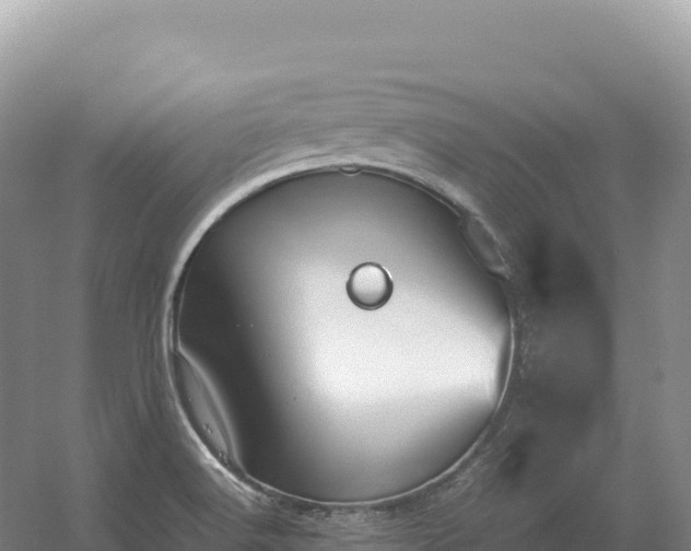 X0000054391516200508051634