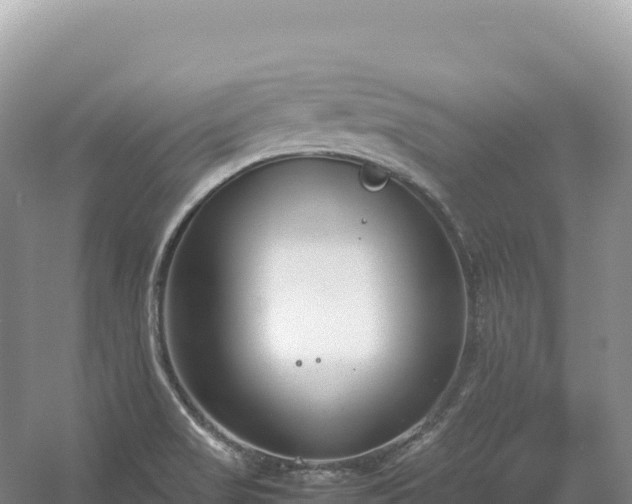 X0000054391517200508051634