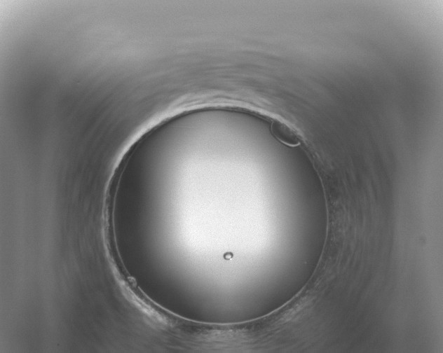 X0000054391518200508051634