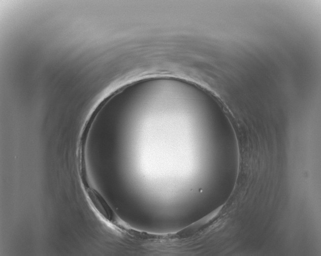 X0000054391519200508051634