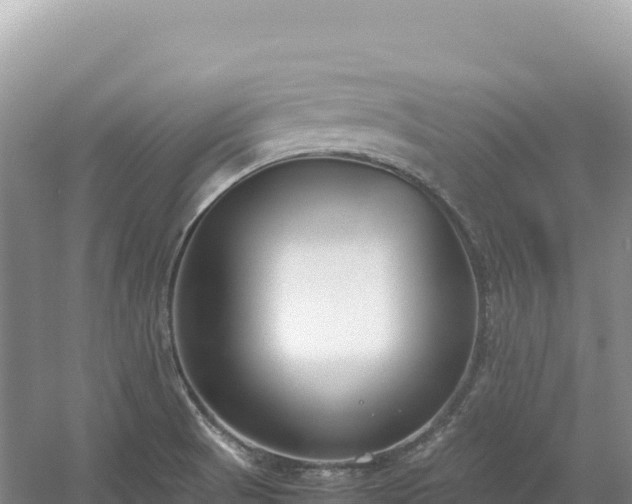 X0000054391521200508051634