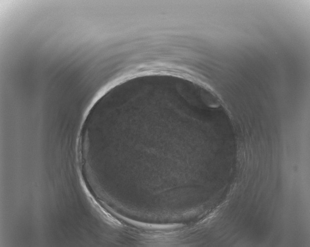 X0000054391522200508051634