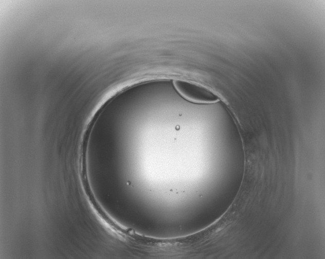 X0000054391523200508051634