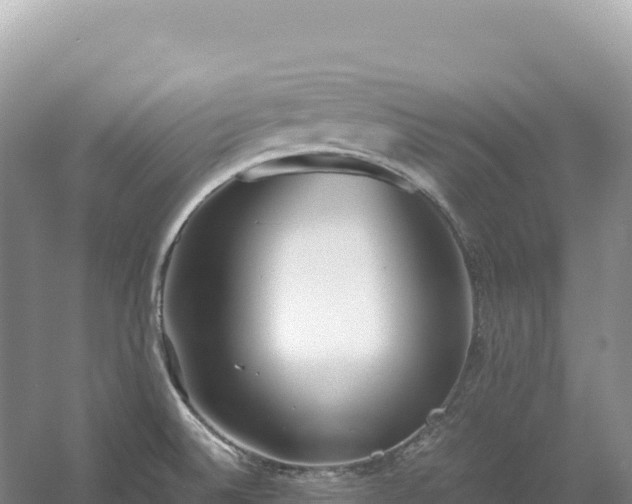 X0000054391524200508051634