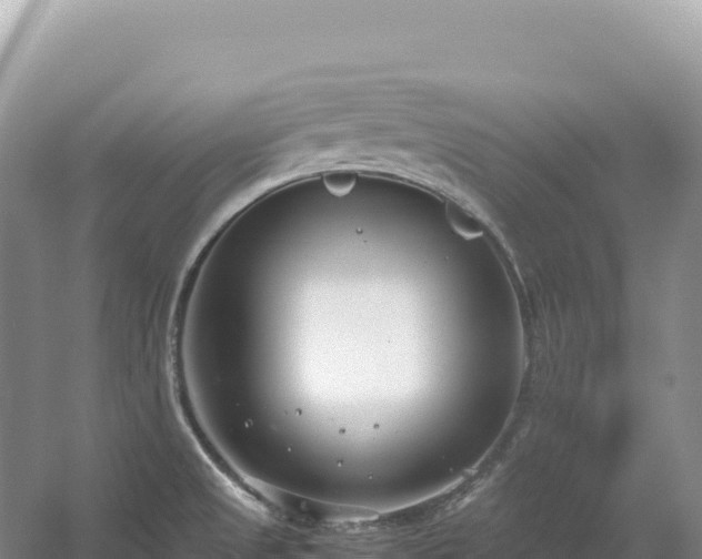 X0000054391525200508051634