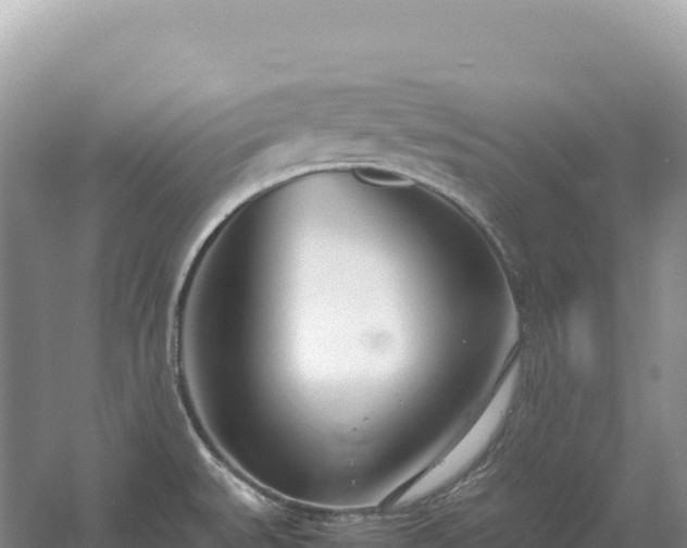 X0000054391527200508051634