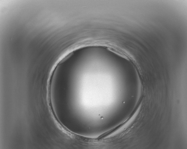 X0000054391528200508051634