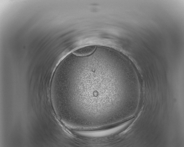 X0000054391529200508051634