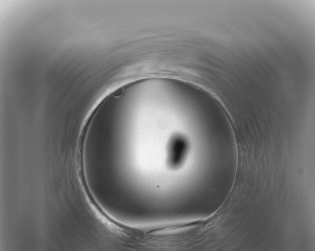 X0000054391531200508051634