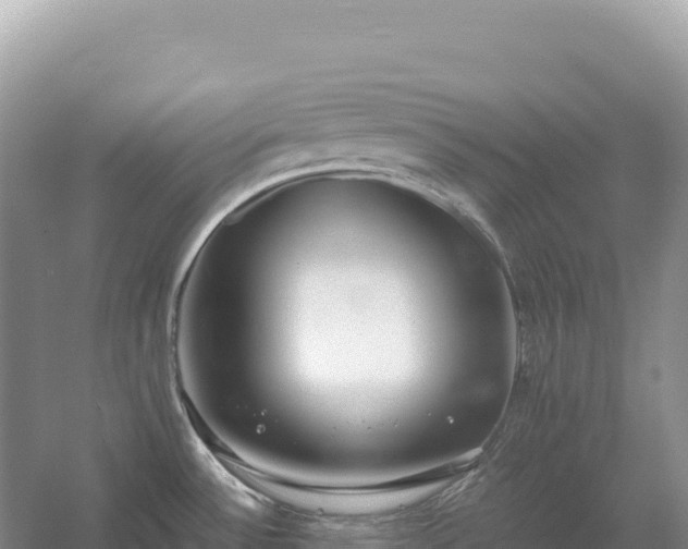 X0000054391532200508051634