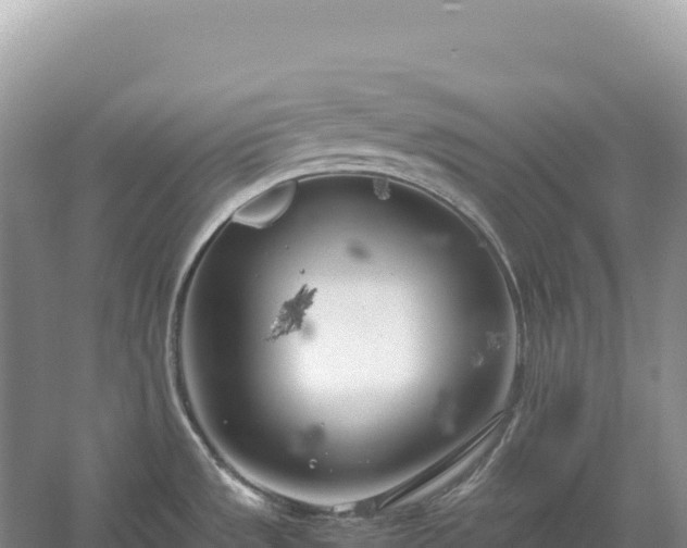 X0000054391533200508051634