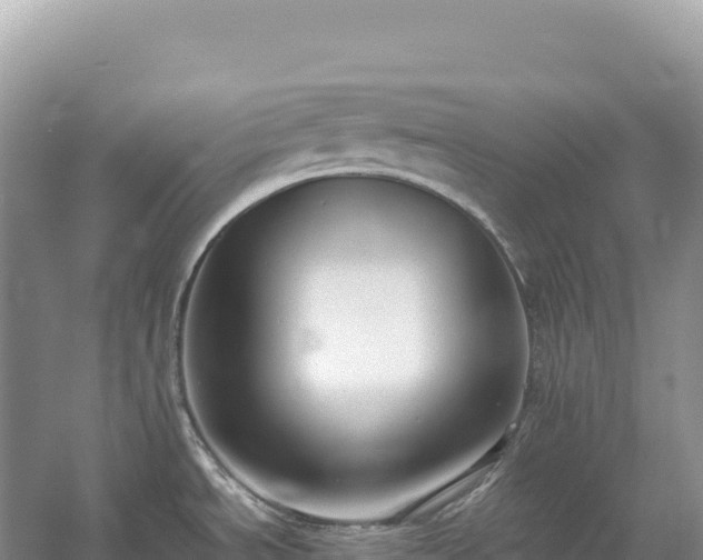 X0000054391534200508051634