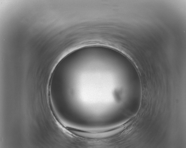 X0000054391535200508051634