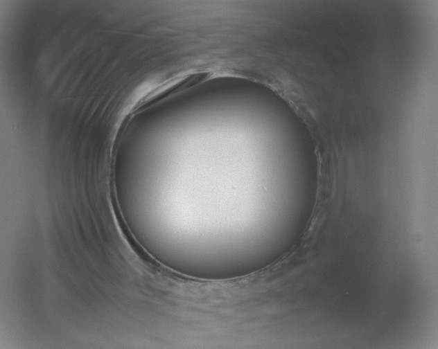 X0000054390003200508121645