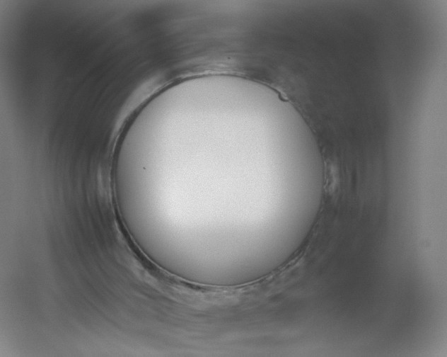 X0000054390004200508121645