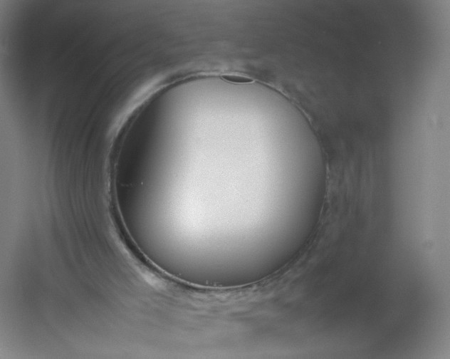 X0000054390005200508121645