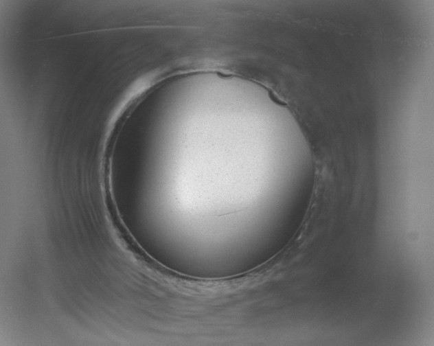 X0000054390006200508121645