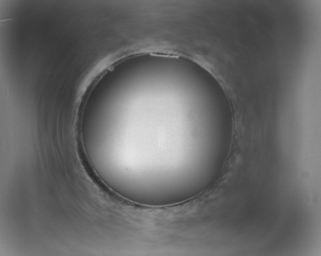 X0000054390007200508121645