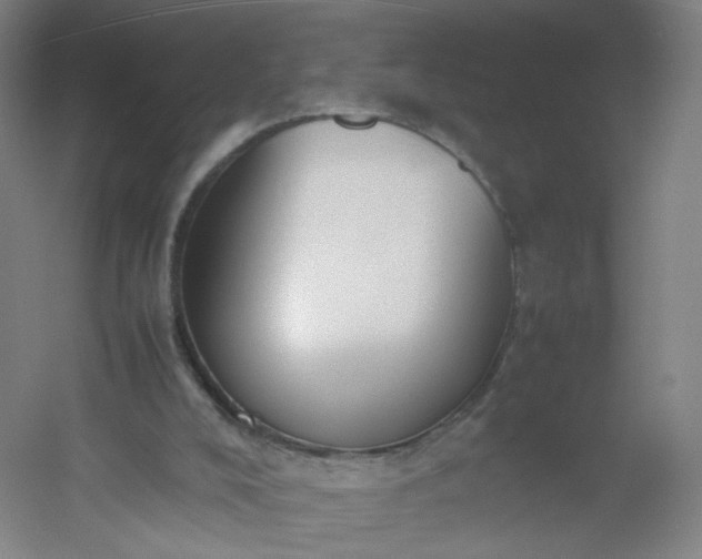 X0000054390008200508121645