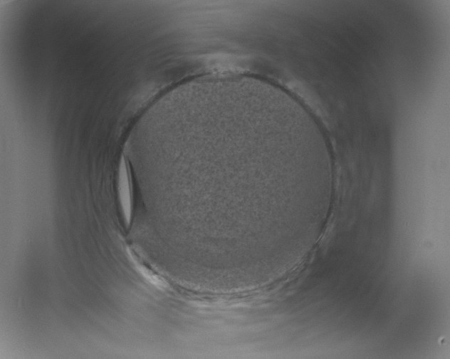 X0000054390009200508121645
