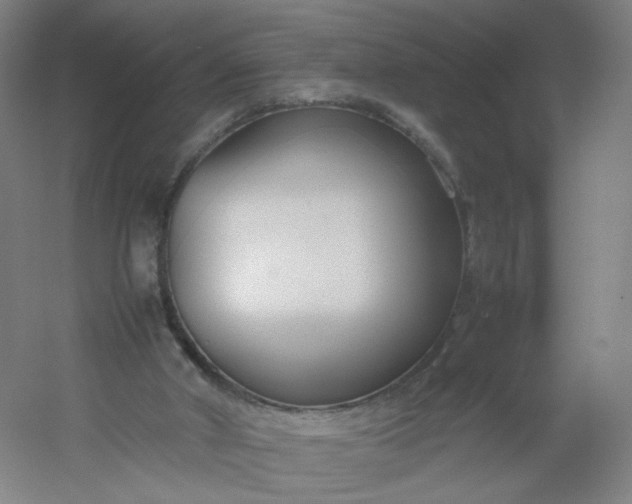 X0000054390010200508121645