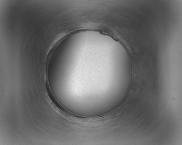 X0000054390011200508121645
