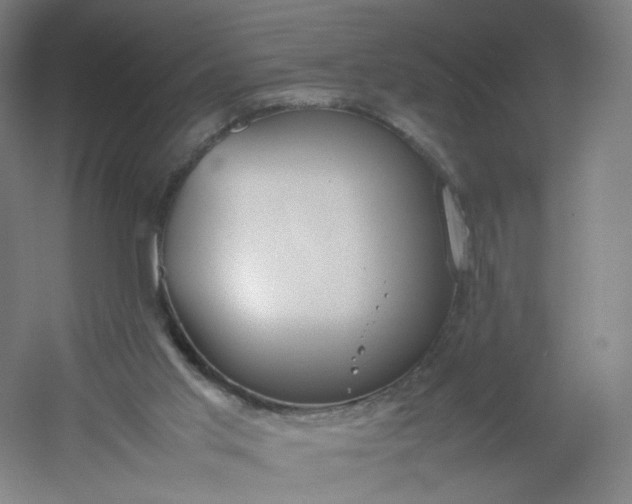 X0000054390013200508121645