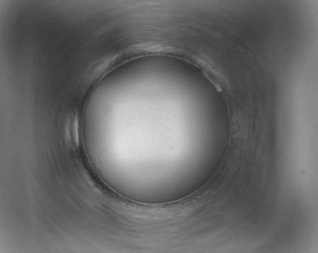 X0000054390014200508121645