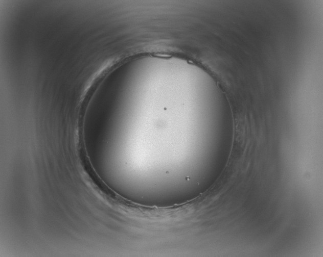 X0000054390015200508121645