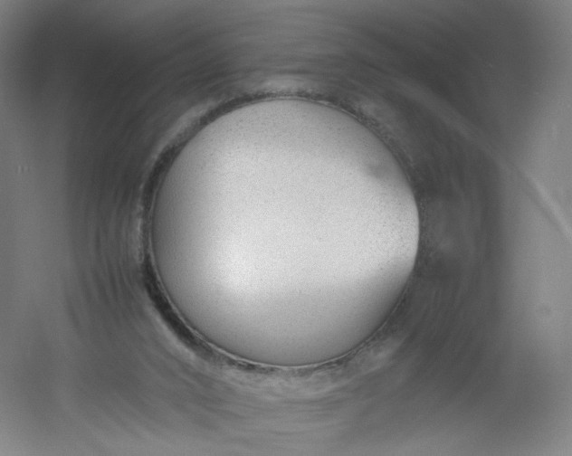 X0000054390016200508121645