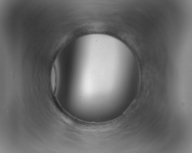 X0000054390017200508121645