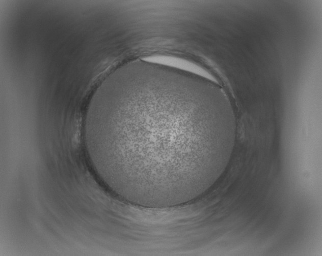 X0000054390018200508121645