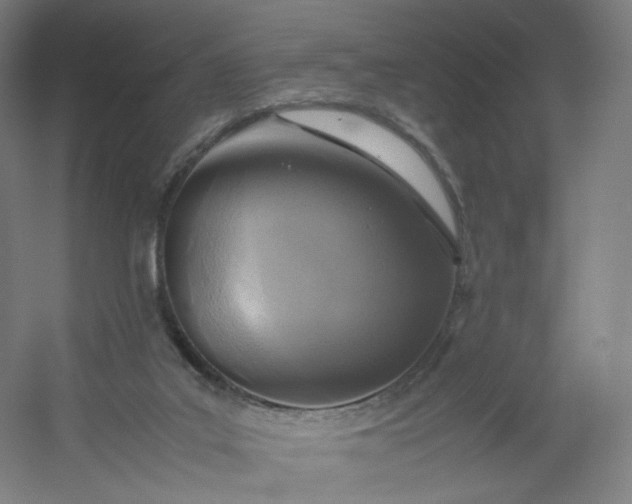 X0000054390019200508121645