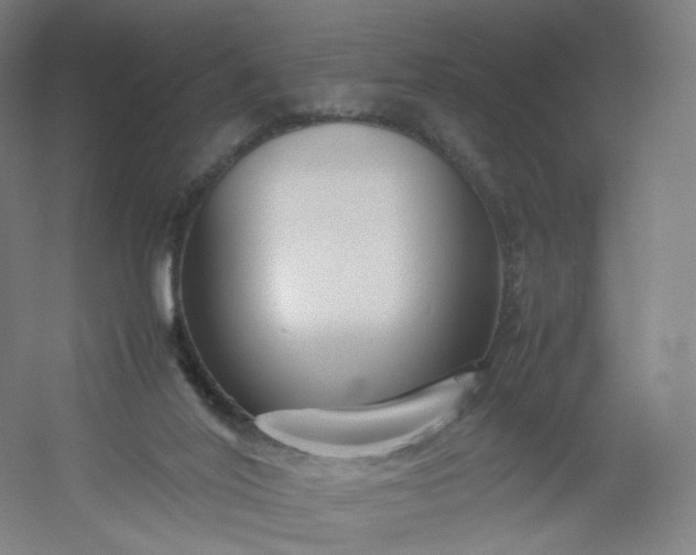 X0000054390020200508121645