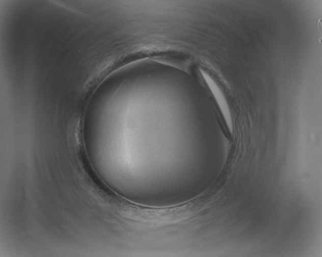 X0000054390023200508121644