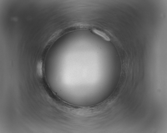 X0000054390024200508121644