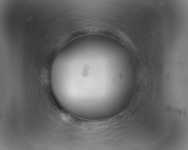 X0000054390025200508121644