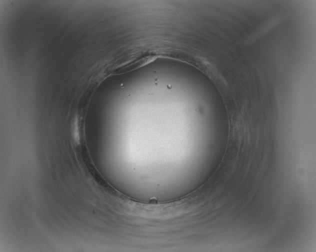 X0000054390026200508121644