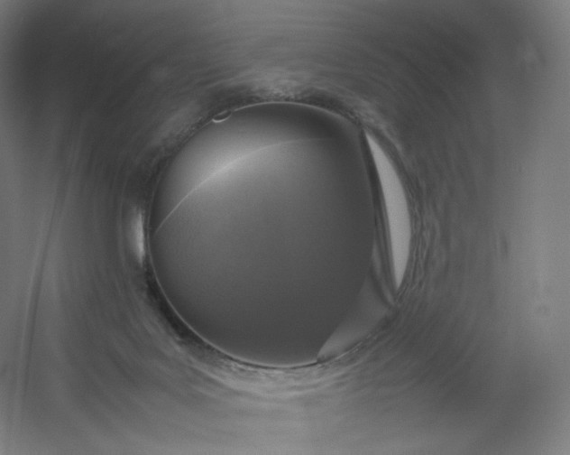 X0000054390027200508121644