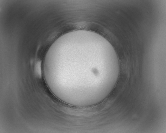 X0000054390028200508121644