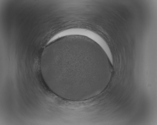 X0000054390029200508121644