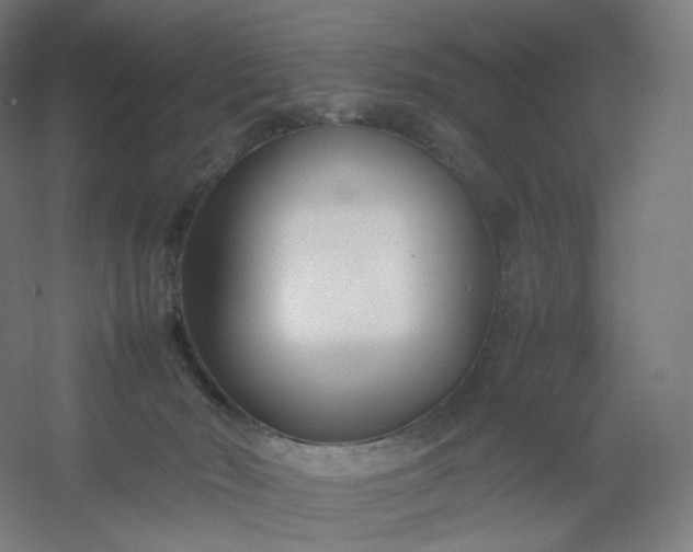 X0000054390030200508121644