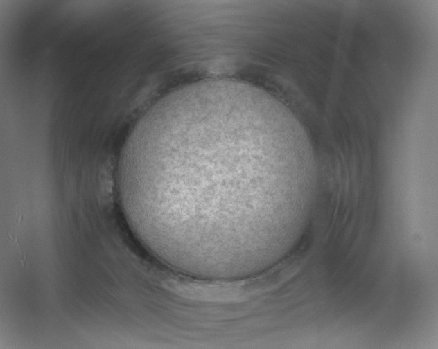 X0000054390032200508121644