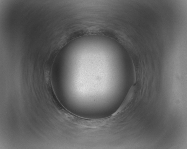 X0000054390033200508121644