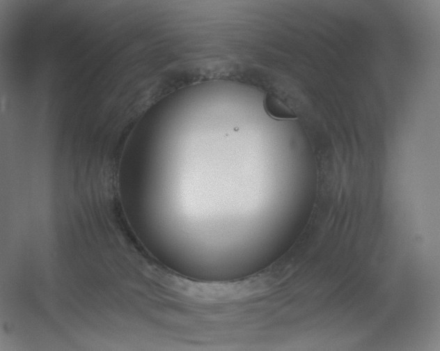 X0000054390034200508121644