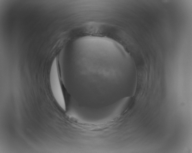 X0000054390035200508121644