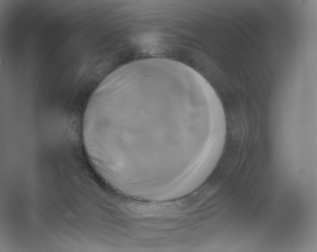 X0000054390036200508121644