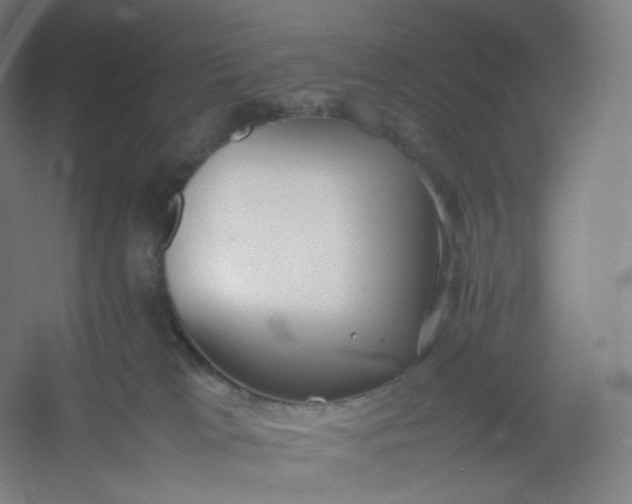 X0000054390037200508121644