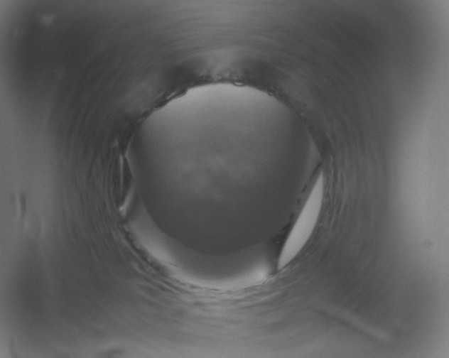 X0000054390039200508121644